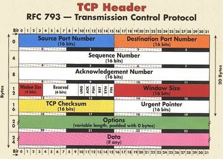 TCP IP Protocol Header