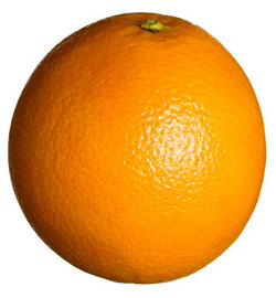 Orange Fruit Orange Fruit